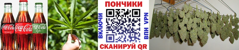 Canna-Cookies марихуана Нижние Серги