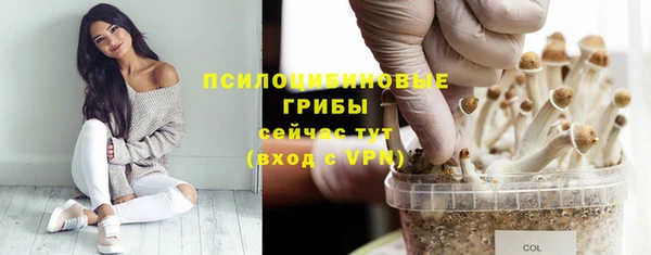 спайс Аркадак