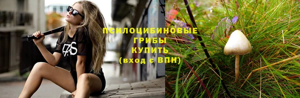 спайс Аркадак